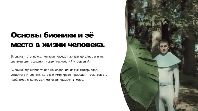 Основы бионики и эё место в жизни человека 1