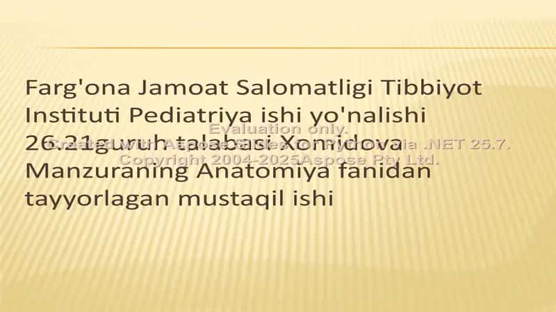 Bo'sh miya pўstloғi. Bo'sh miya utkazuv yullari 1