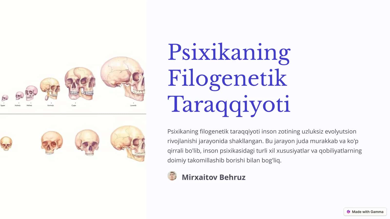 Psixikaning Filogenetik Taraqqiyoti 1