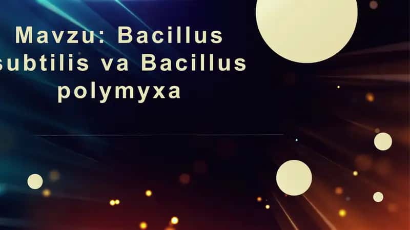 Bacillus subtilis va Bacillus polymyxa 1