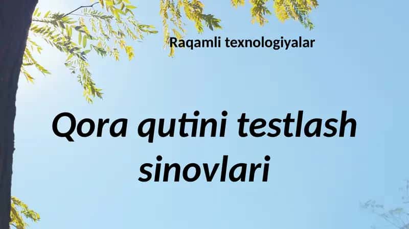 Raqamli texnologiyalar 1
