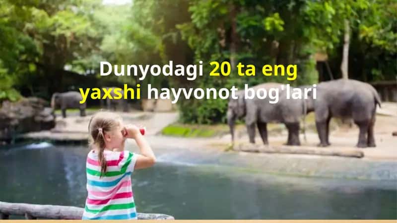 Dunyodagi 20 ta eng yaxshi hayvonot bog'lari 1