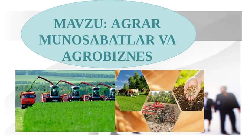 AGRAR MUNOSABATLAR VA AGROBIZNES 1