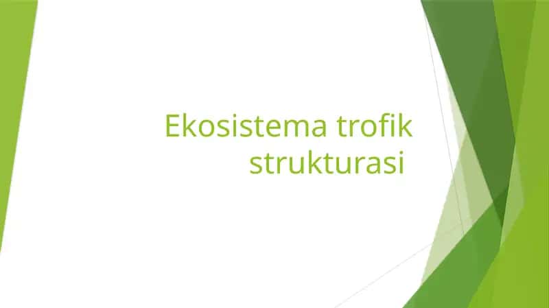 Ekosistema trofik strukturasi 1