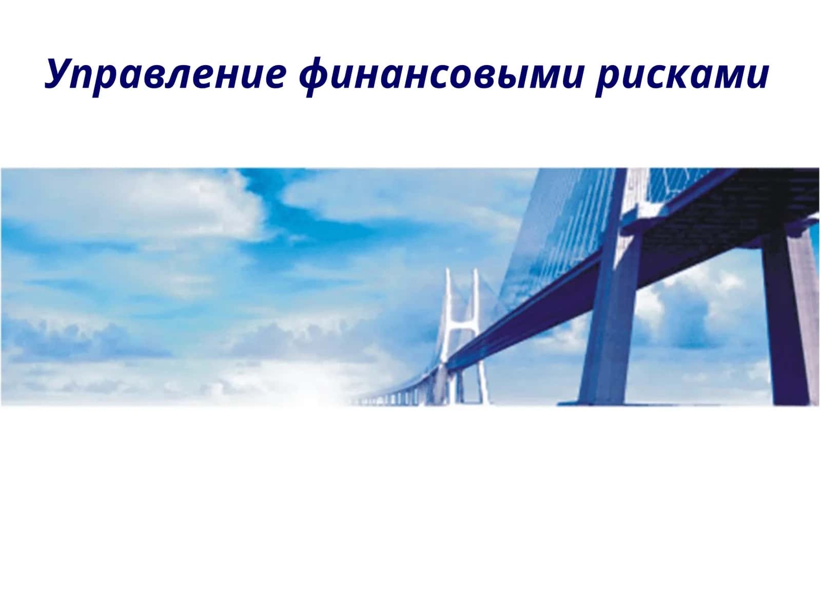 Управление финансовыми рисками 1