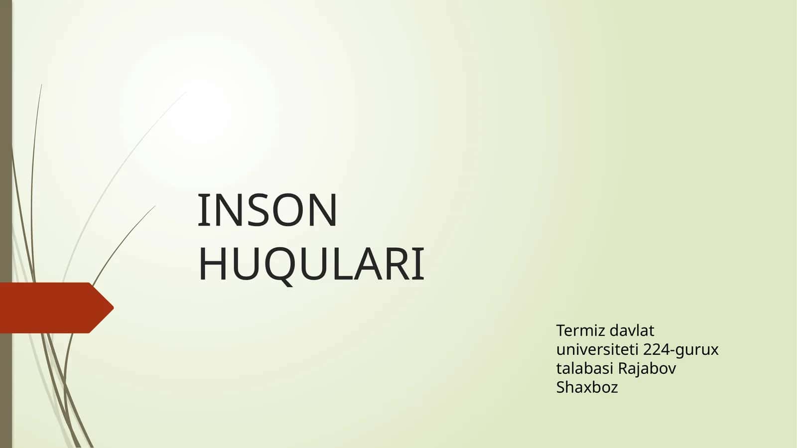 INSON HUQULARI 1