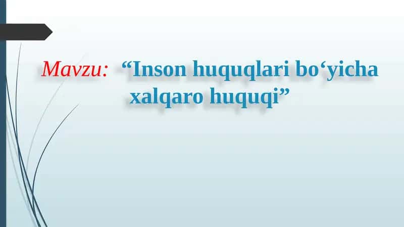 Inson huquqlari boʻyicha xalqaro huquqi 1