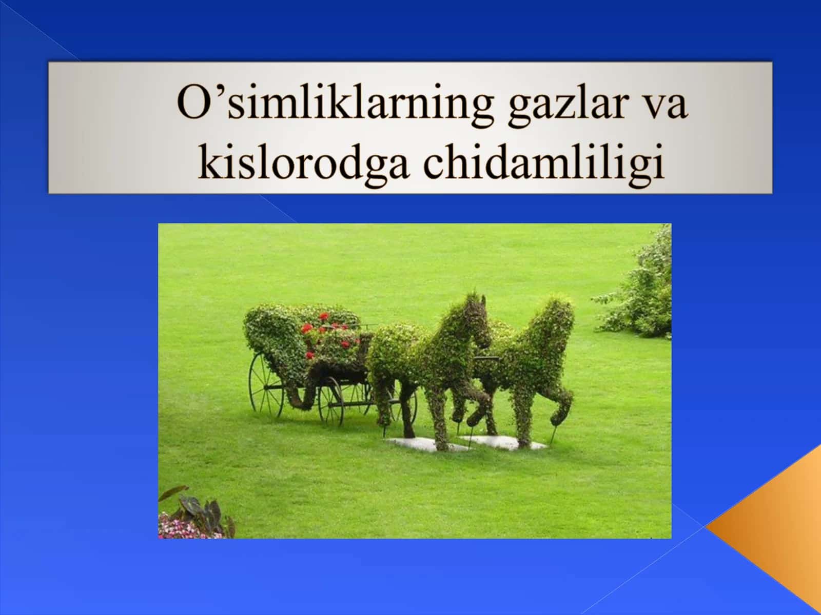O'simliklarning Fiziologiyasi 1