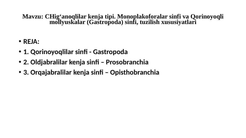 Mollyuskalar 1