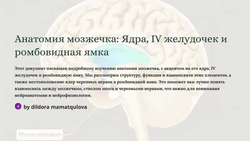 Анатомия мозжечка: Ядра, IV желудочек и ромбовидная ямка 1