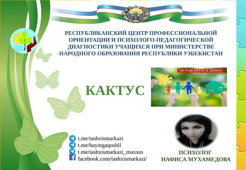 КАКТУС 1