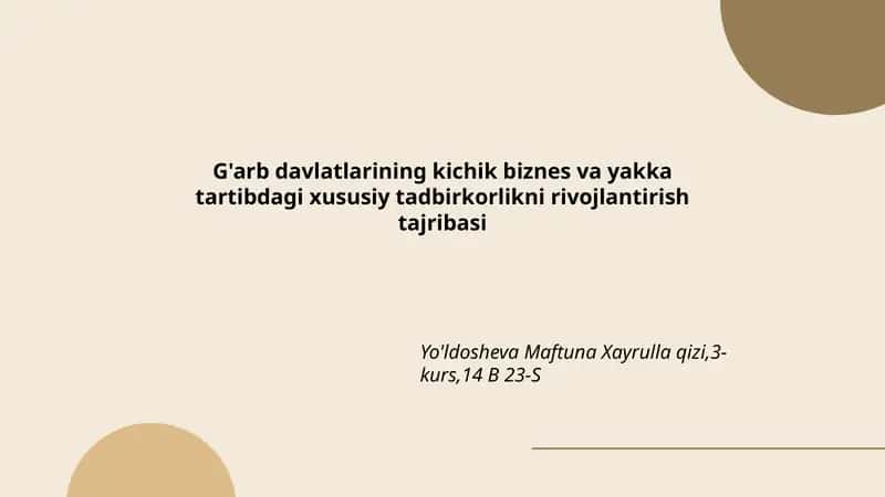 G'arb davlatlarining kichik biznes va yakka tartibdagi xususiy tadbirkorlikni rivojlantirish tajribasi 1