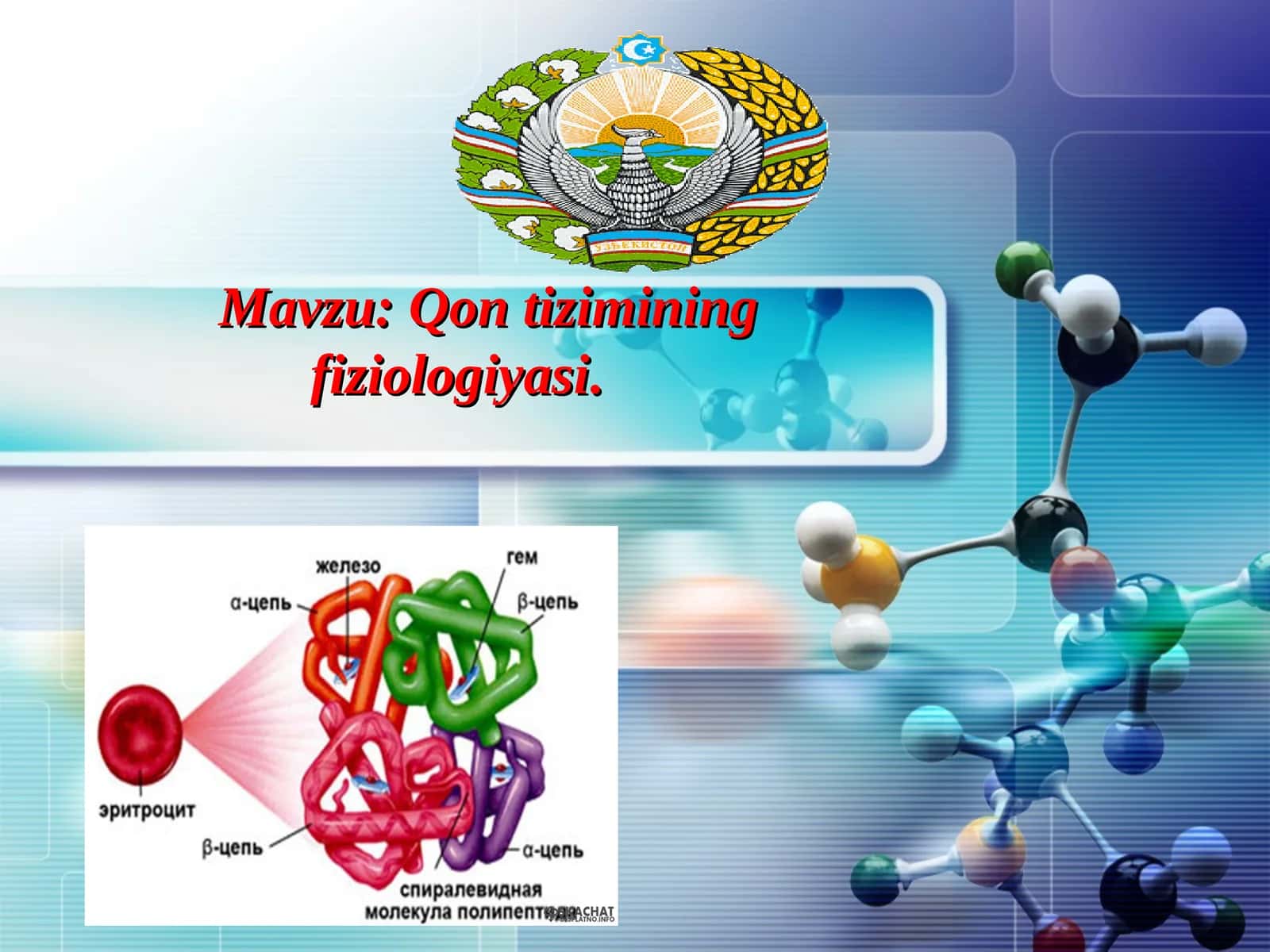 Qon tizimining fiziologiyasi 1