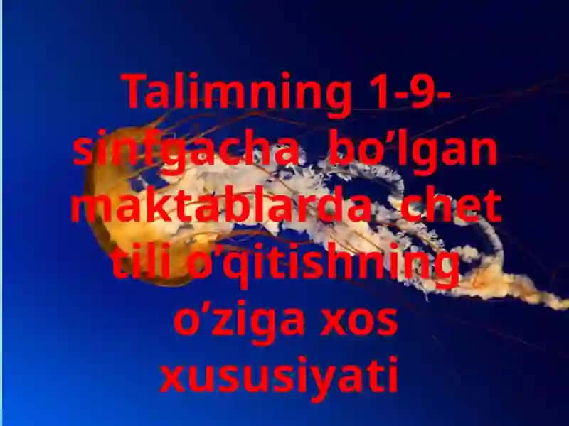 Davlat ta'lim standartlari