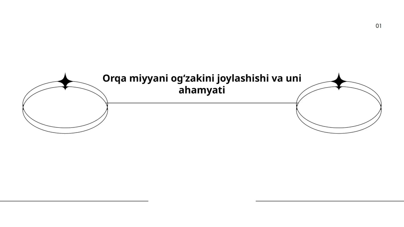 Orqa miyyani ogʻzagining anatomik joylashishi bosh miya va umurtqa pogʻonasi kontekstida 1
