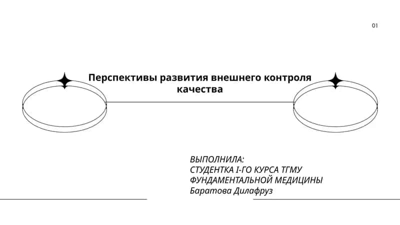 Перспективы развития внешнего контроля качества 1