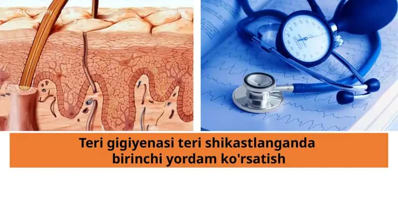 Teri gigiyenasi teri shikastlanganda birinchi yordam 1
