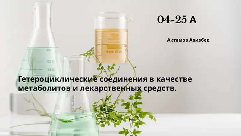 Гетероциклы: Основа жизни 1