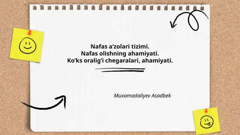 Nafas a'zolari tizimi 1