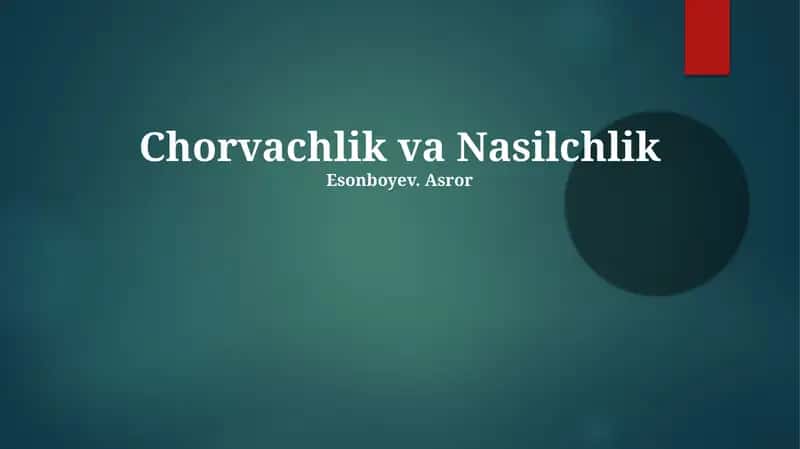 Chorvachlik va Nasilchlik 1