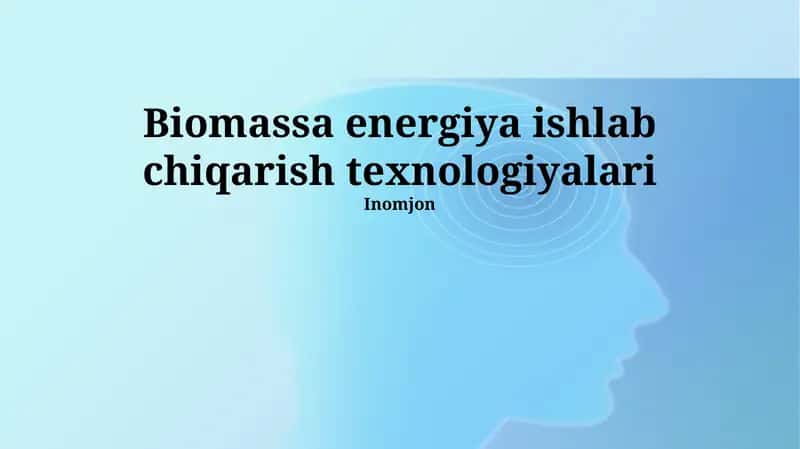 Biomassa energiya ishlab chiqarish texnologiyalari 1