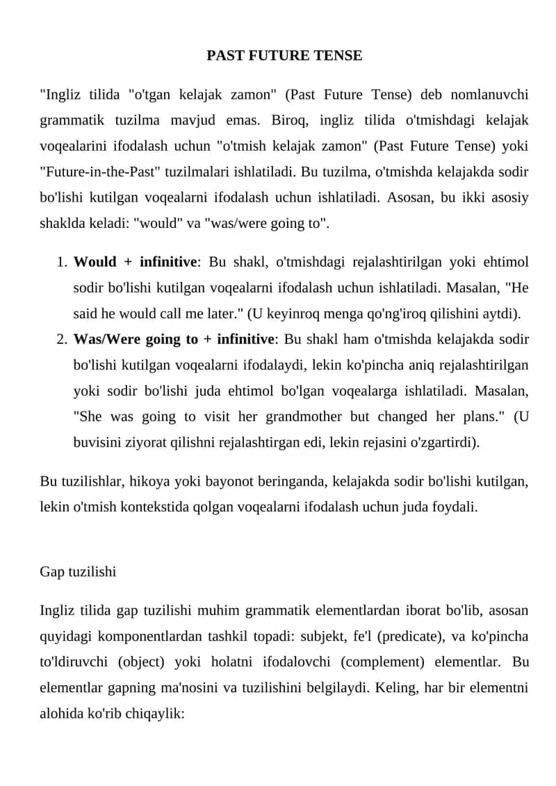 Past Future Tense 1