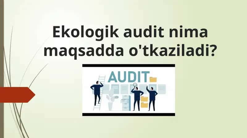 Ekologik audit nima maqsadda o'tkaziladi? 1