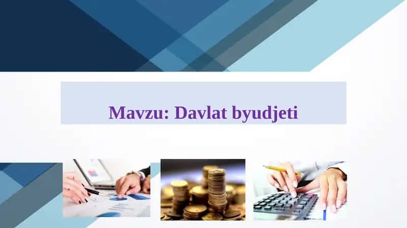 Davlat byudjeti. 1