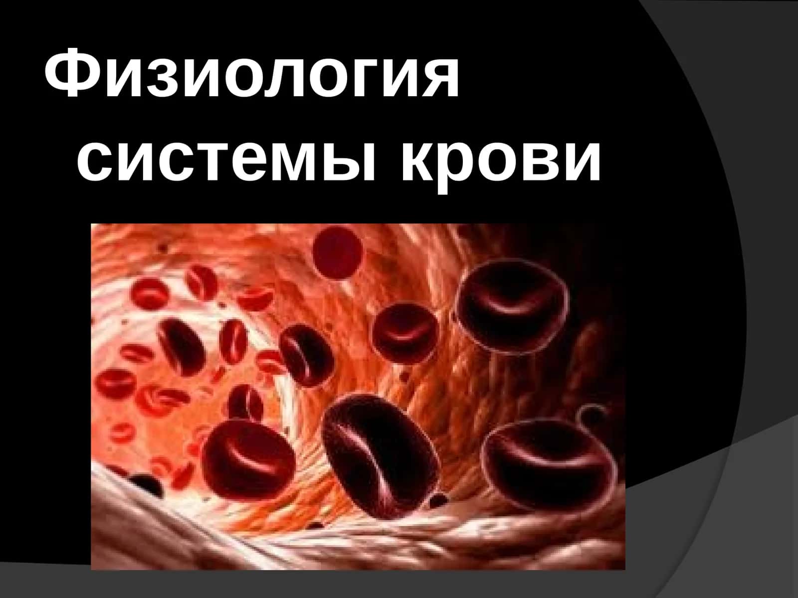 Физиология системы крови 1
