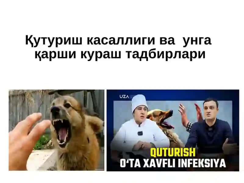 Қутуришкасаллиги ваунгақарши кураштадбирлари