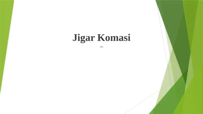 Jigar Komasi 1