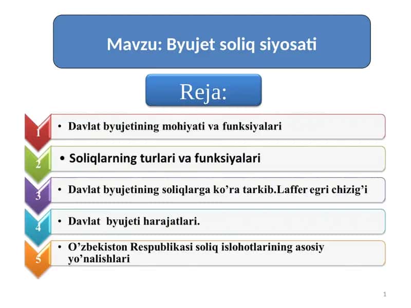 Byujet soliq siyosati 1