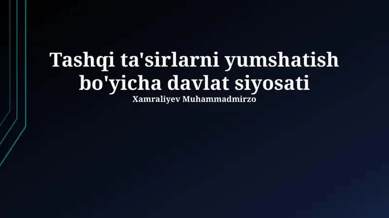 Tashqi ta'sirlarni yumshatish bo'yicha davlat siyosati 1