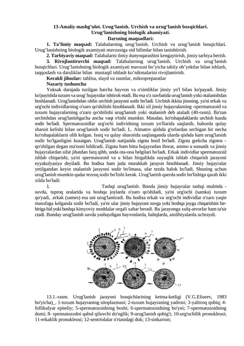Urugʻlanish. Urchish va urugʻlanish bosqichlari. Urugʻlanishning biologik ahamiyati. 1