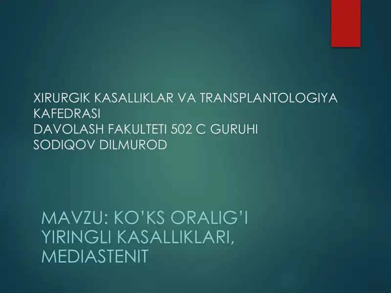 Ko’ks Oraliği Anatomiyasi 1