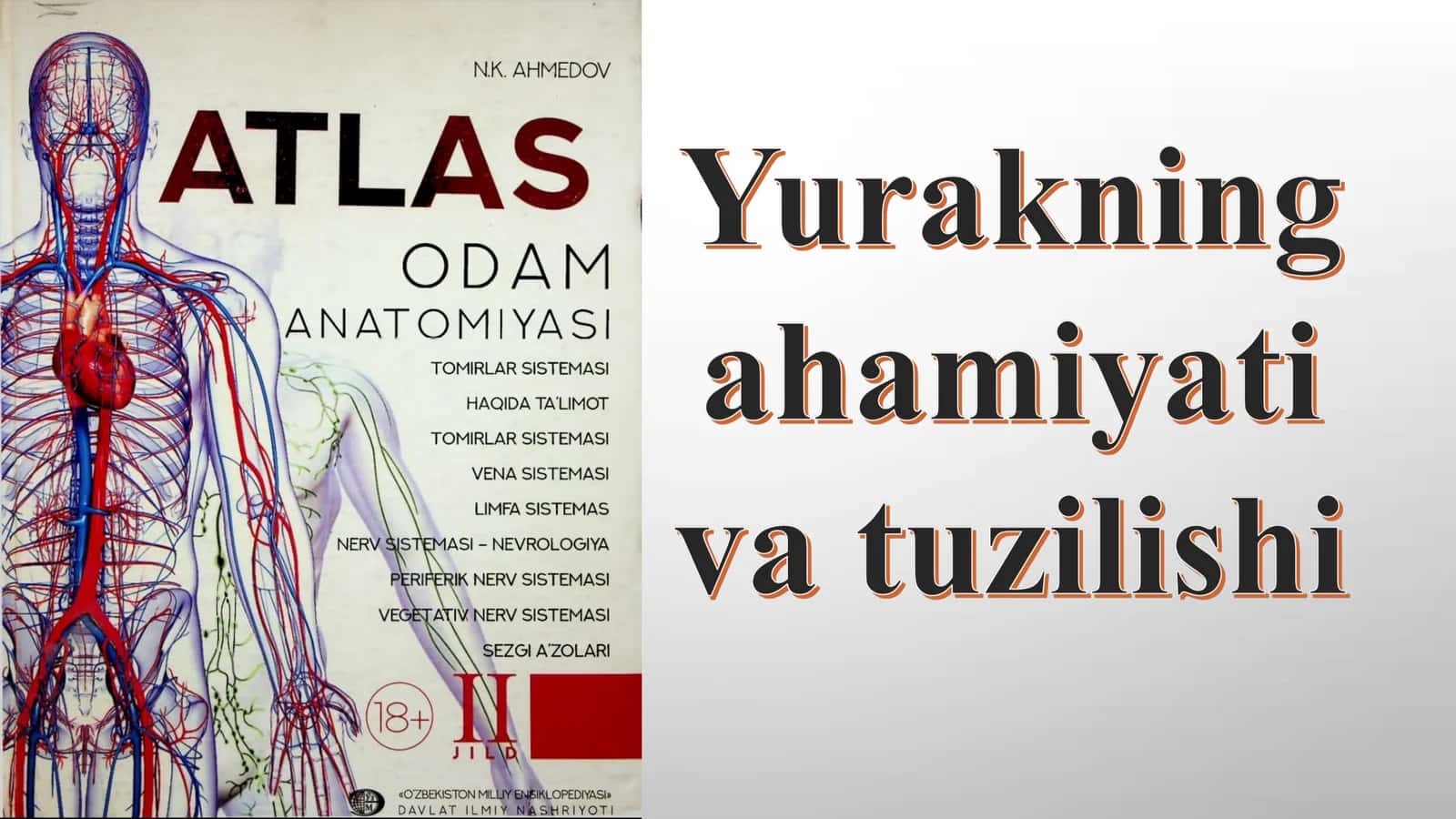 yurakning ahamiyati va tuzilishi 1