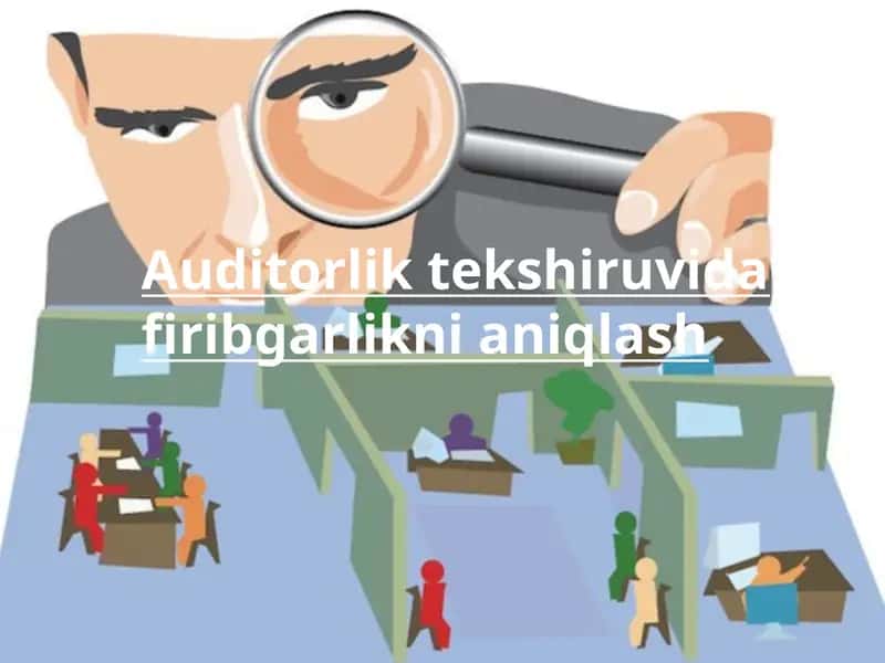 Auditorliktekshiruvidafiribgarliknianiqlash 1