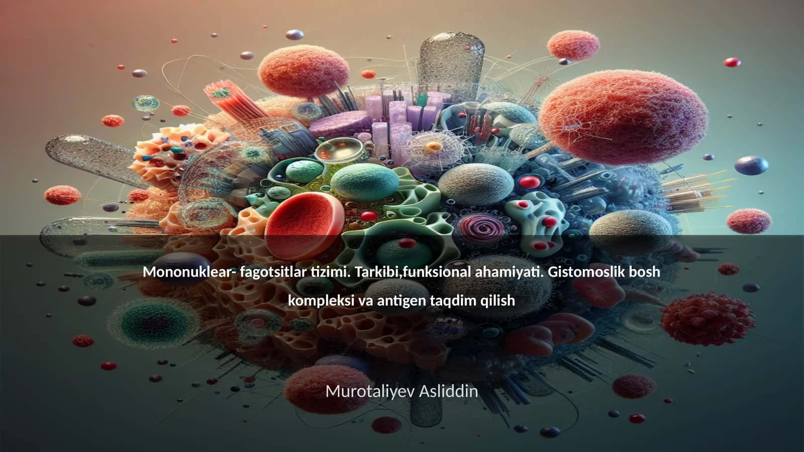 Mononuklear- fagotsitlar tizimi. Tarkibi,funksional ahamiyati. Gistomoslik bosh kompleksi va antigen taqdim qilish 1