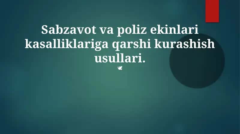 Sabzavot va poliz ekinlari kasalliklariga qarshi kurashish usullari 1