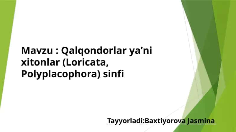 Qalqondorlaryaʼnixitonlar(Loricata,Polyplacophora) sinfi 1
