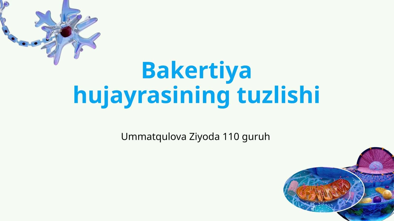 Bakteriyajayrasining tuzilishi 1