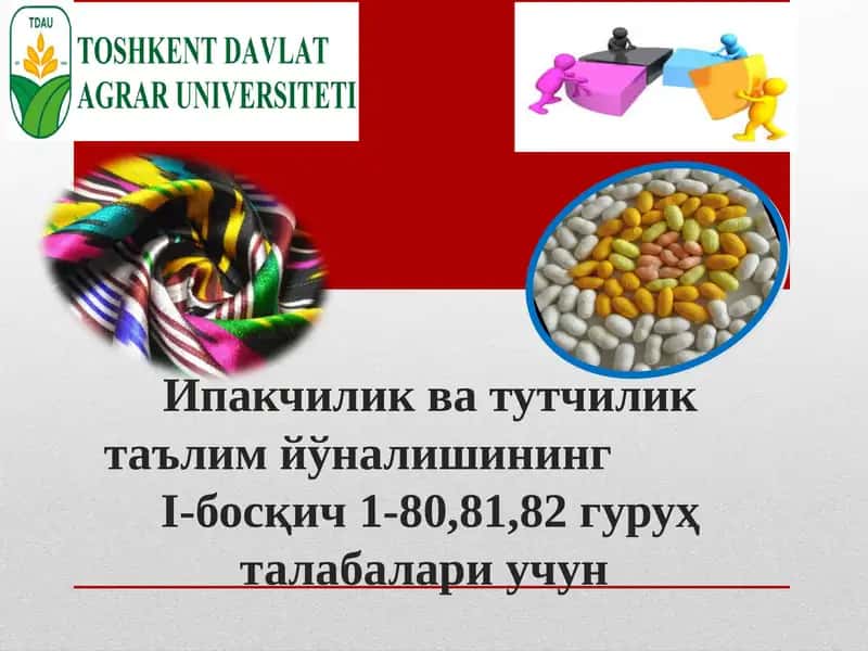 Ипакчилик ва тутчилик 1