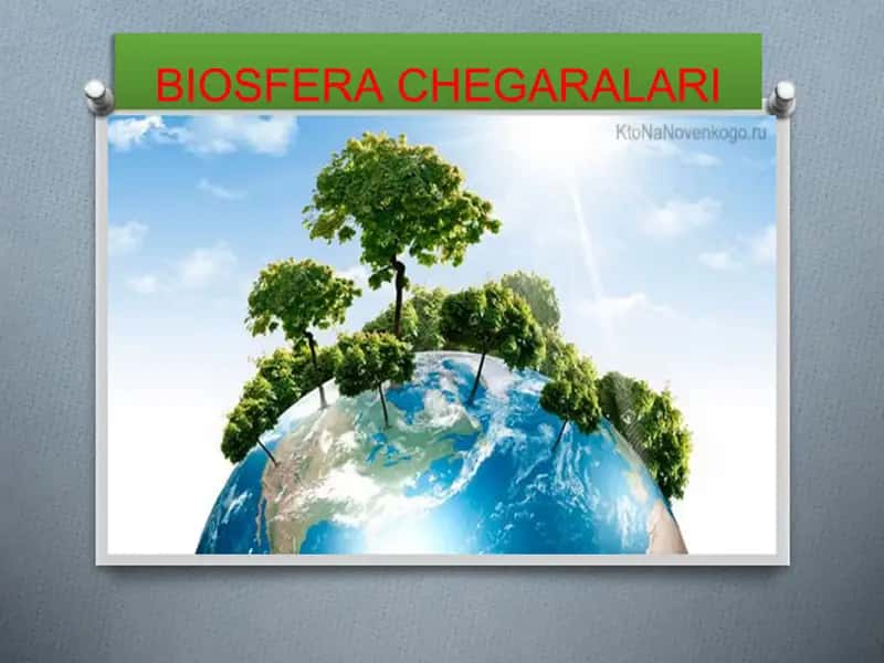 BIOSFERA CHEGARALARI 1
