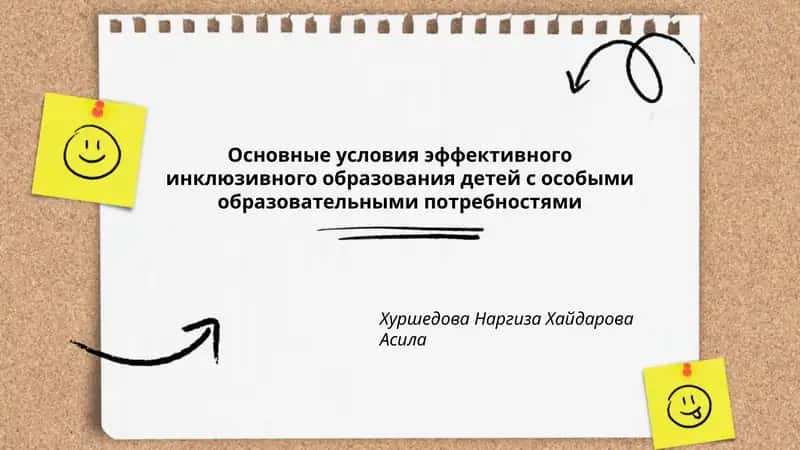 Основные условия эффективного инклюзивного образования детей с особыми образовательными потребностями 1