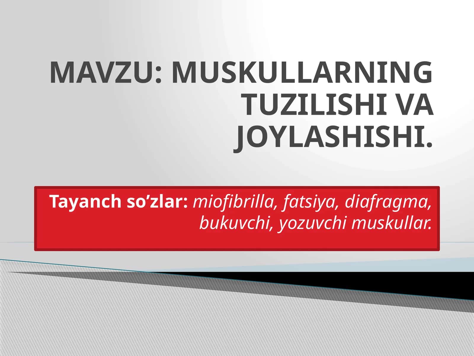 MUSKULLARNING TUZILISHI VA JOYLASHISHI 1