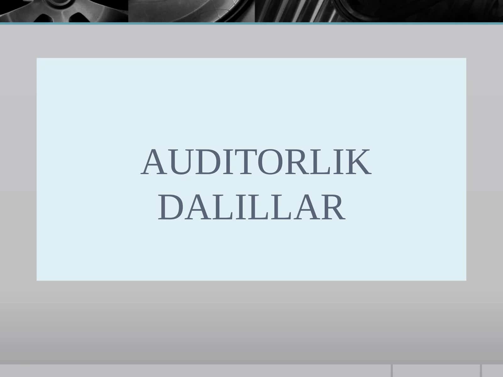 AUDITORLIK DALILLAR 1