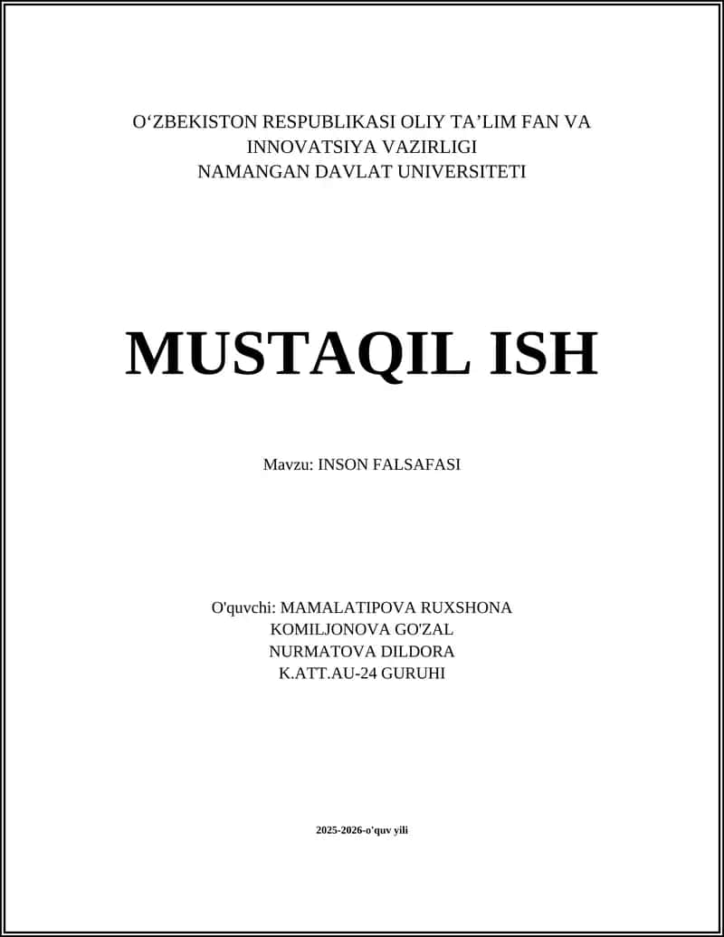 INSON FALSAFASI 1