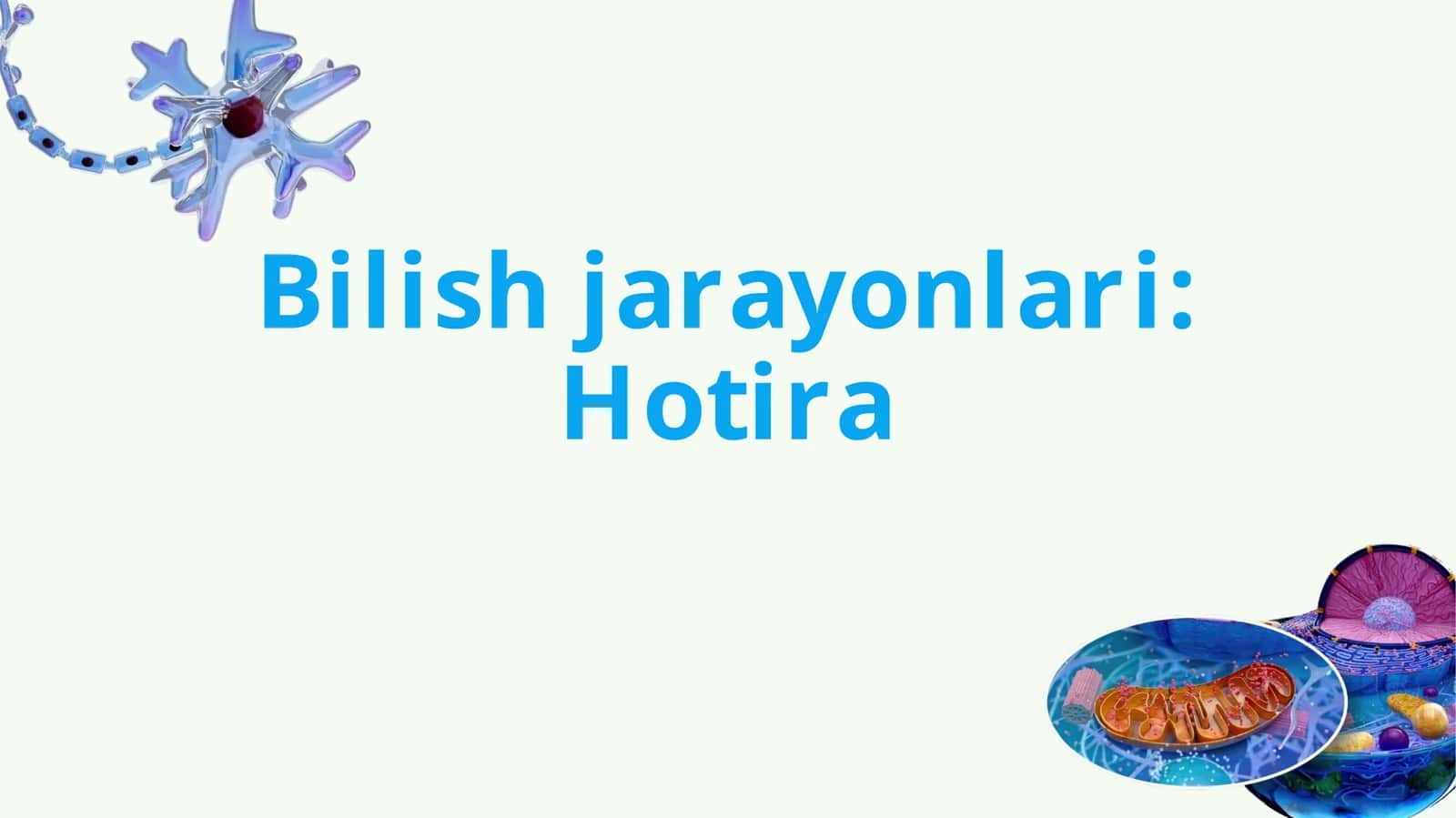 Hotira 1