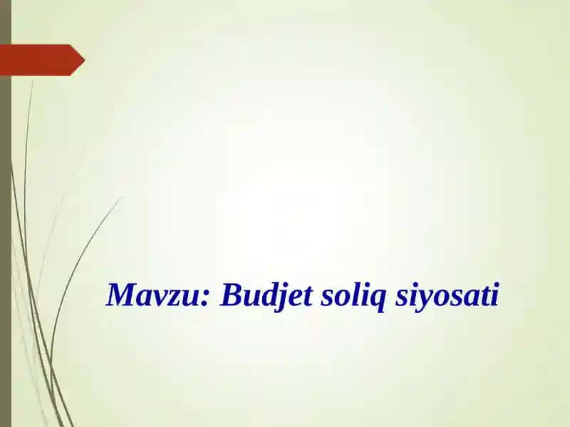 Budjet soliq siyosati