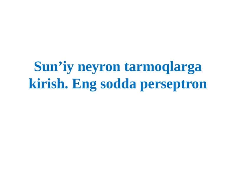 Sunʼiy neyron tarmoqlarga kirish. Eng so'dda perseptron 1